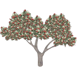 Category:Trees | ZT2 Download Library Wiki | Fandom