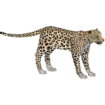 360?cb=20201110164044