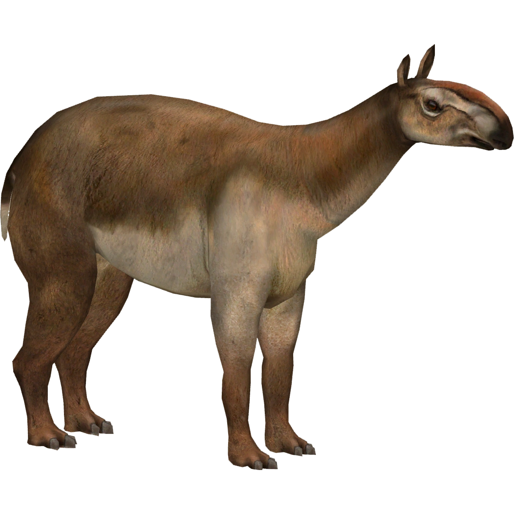 Macrauchenia (Ulquiorra) | ZT2 Download Library Wiki | Fandom