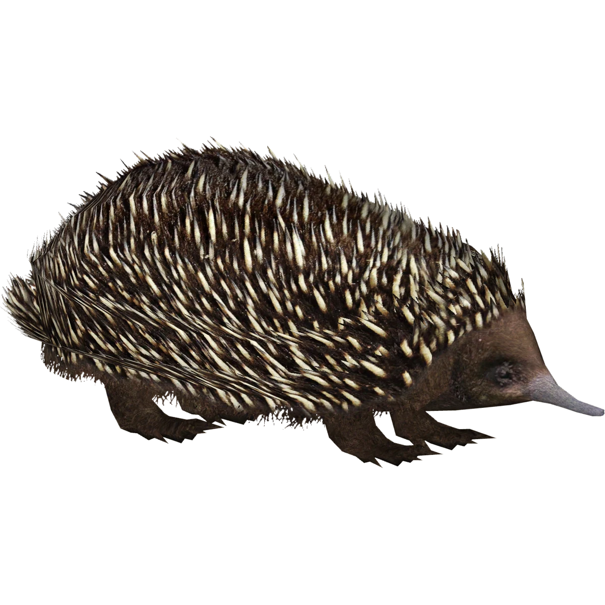 1200?cb=20201207141404