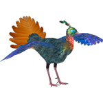 Himalayan Monal (Dedennedillo)