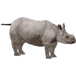 Javan Rhinoceros (Dedennedillo)/Version 1 (1.27 MB) Javan Rhinoceros (Dedennedillo)/Version 1