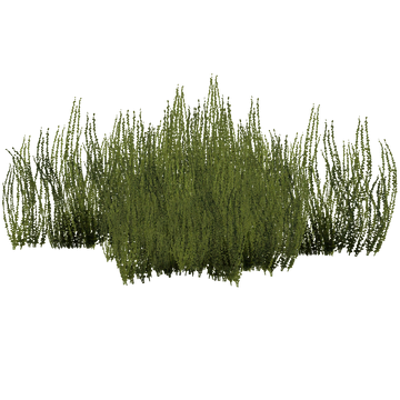 Celesteela - Bamboo Forest by Latiar010 -- Fur Affinity [dot] net