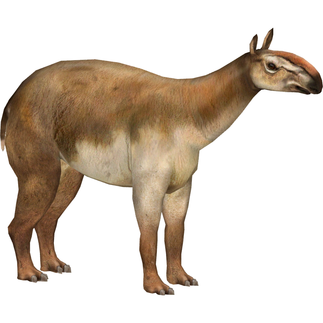 Macrauchenia (Ulquiorra) | ZT2 Download Library Wiki | Fandom