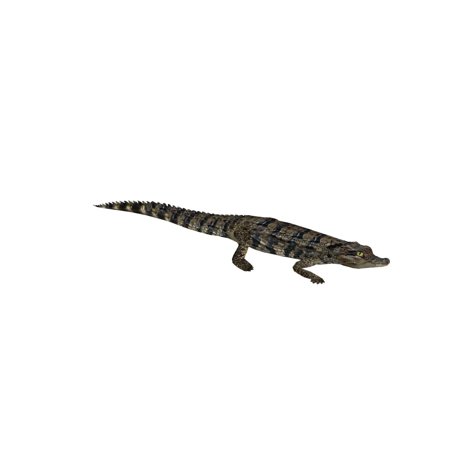 Siamese Crocodile (Tamara Henson) | ZT2 Download Library Wiki | Fandom