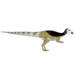 Thescelosaurus neglectus (Andrew12 & Luca9108)