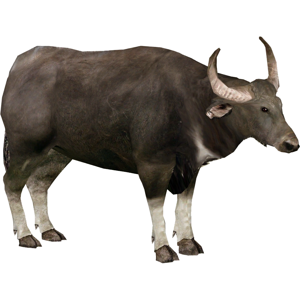 bayou 英語 Kawasaki Bayou 220 ATV. Does run but may need | August