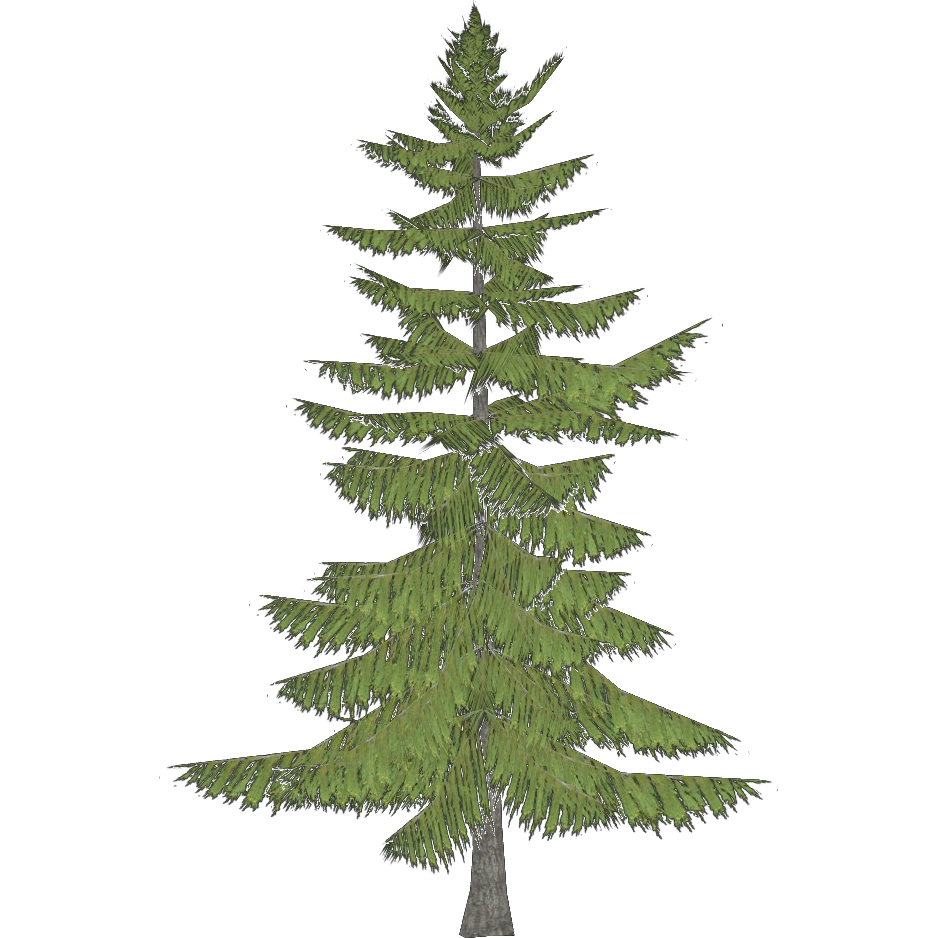 Yellow Cedar Tree Demon Hunter Zt2 Download Library Wiki Fandom