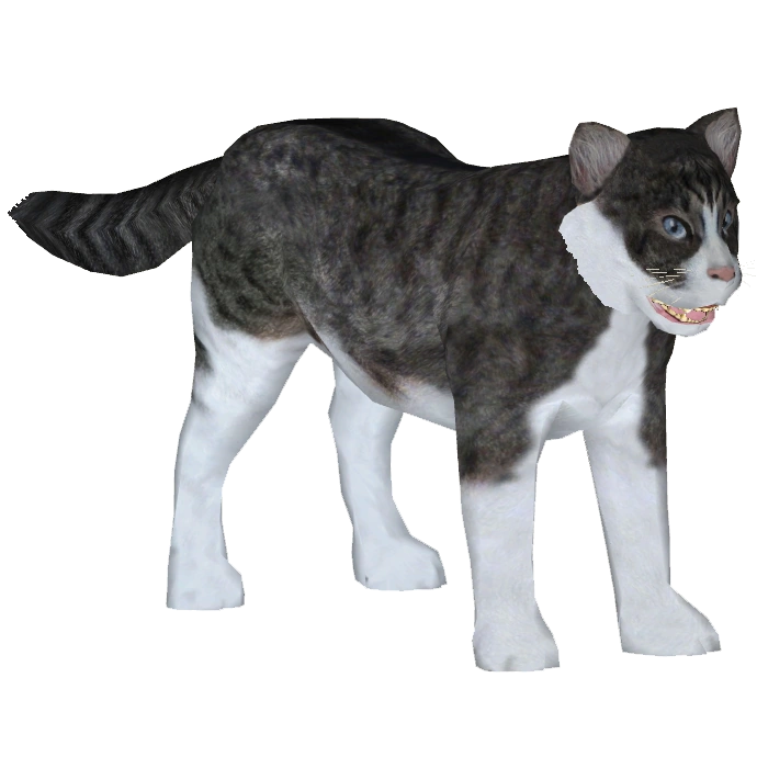 Domestic Cat (slice) | ZT2 Download Library Wiki | Fandom