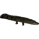 Deinosuchus (Bunyupy)