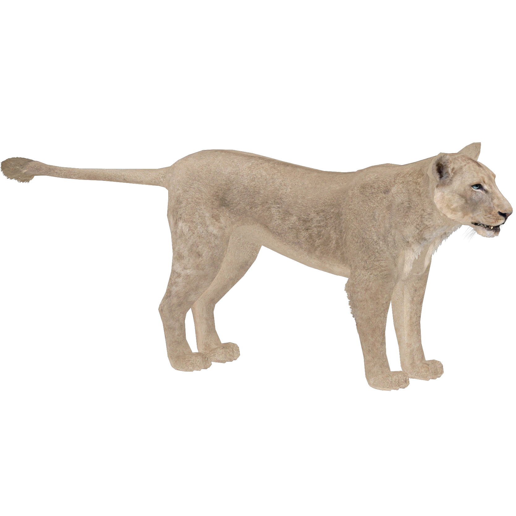 lion ページ Lion (Zebrasorus) | ZT2 Download Library Wiki | Fandom