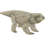 Simosuchus (Acinonyx Jubatus)