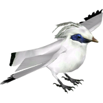 Bali Myna (Whalebite)