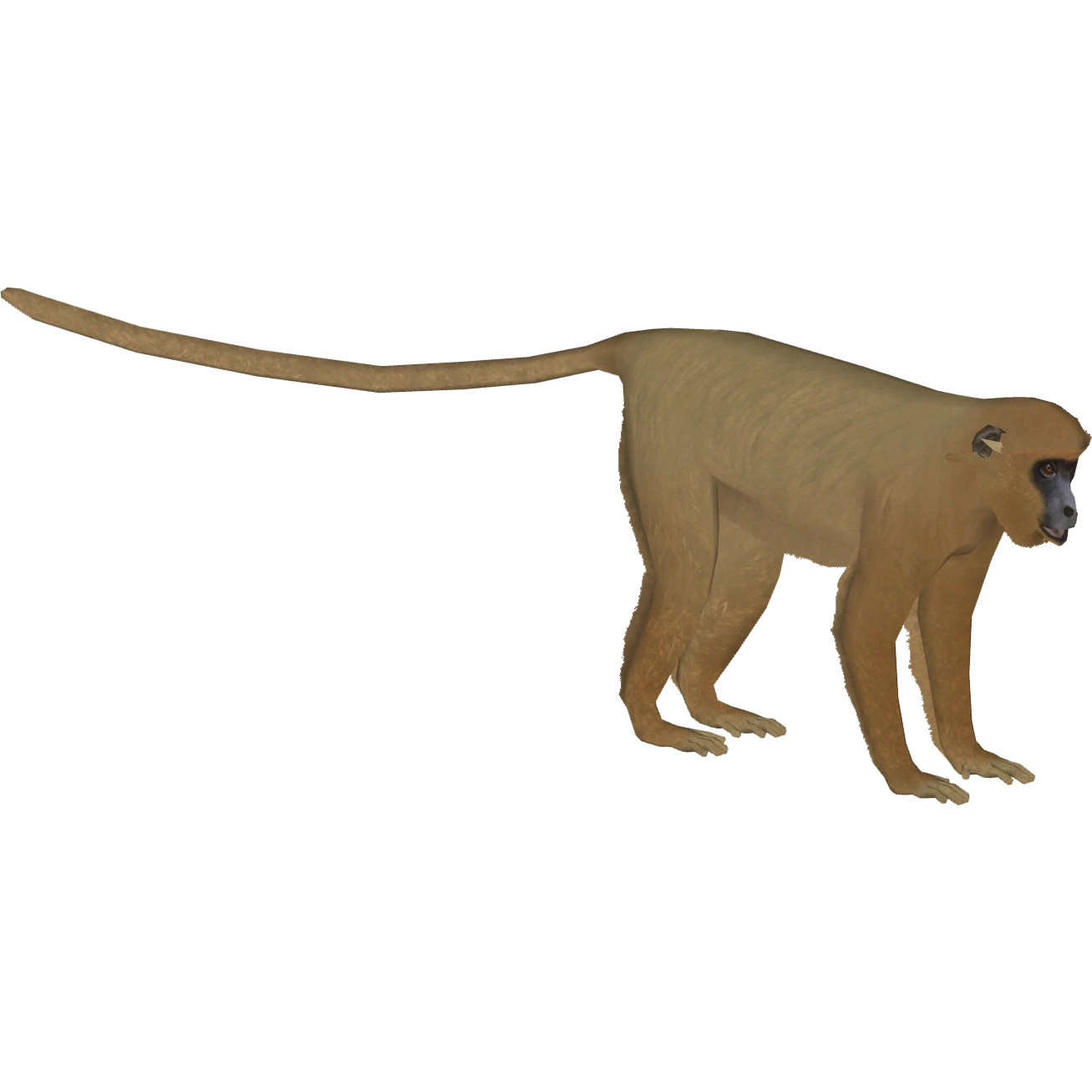 Black Howler Monkey (Bunteriro) | ZT2 Download Library Wiki