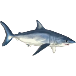 Zooa | ZT2 Download Library Wiki | Fandom