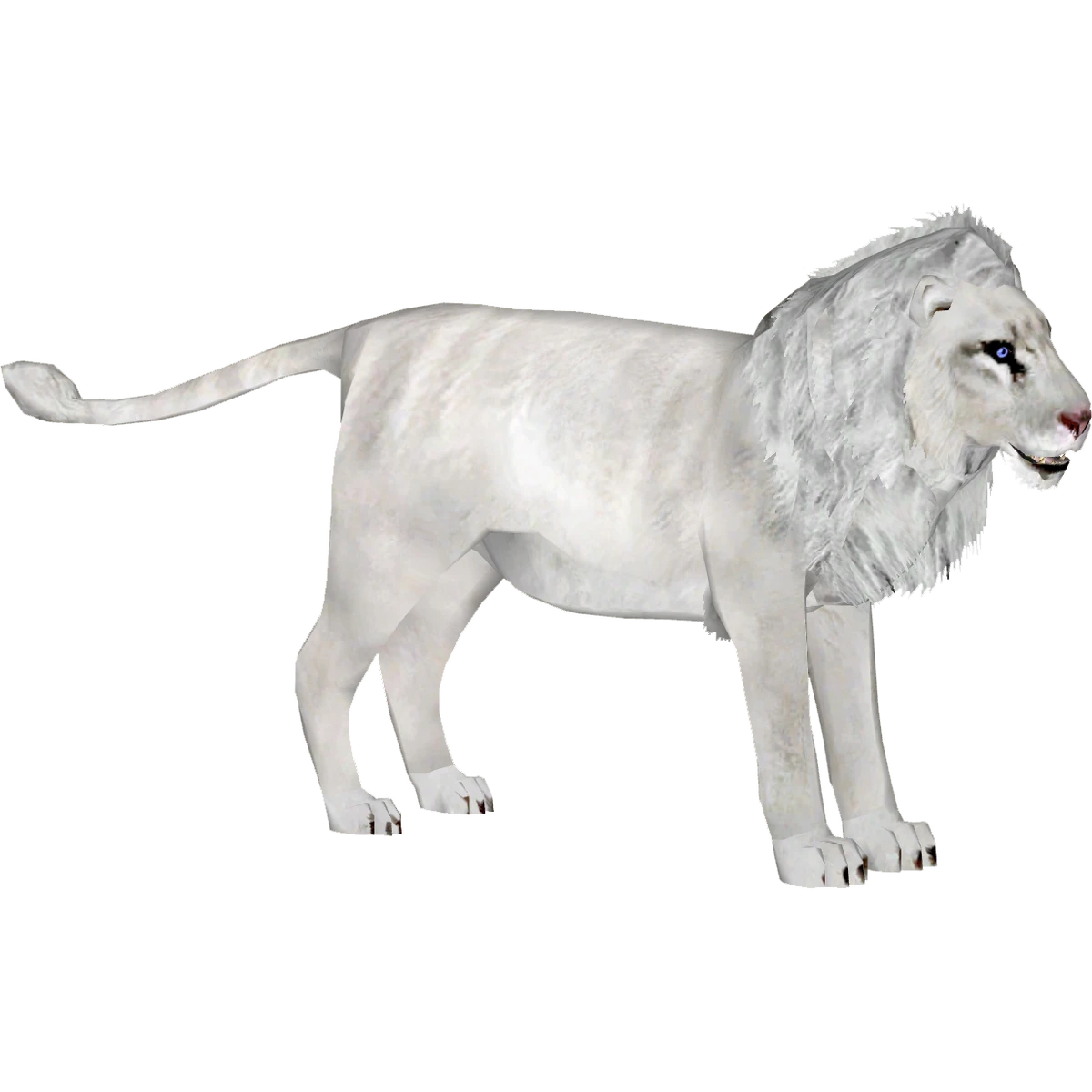 White Lion (Zoo Tycooner FR) ZT2 Download Library Wiki Fandom