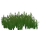 Shoal Grass (Fauna)