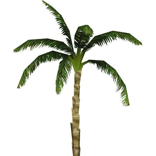Dwarf Coconut Palm (ZetaDesigns) ZT2 Download Library Wiki Fandom