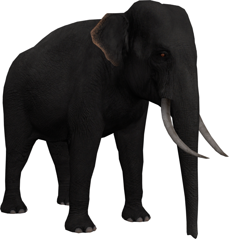ELEPHANT 2冊 Sri Lanka Elephant (Demon Hunter)/Version 1 | ZT2 Download