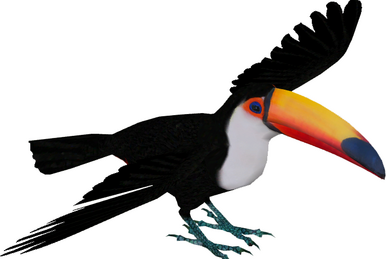 Bird Clipart png download - 2000*1160 - Free Transparent Nyctosaurus png  Download. - CleanPNG / KissPNG