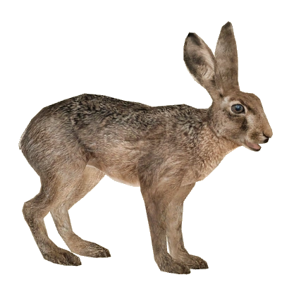 latest?cb=20220920052512