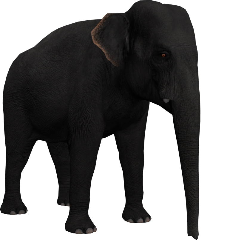 レディース 福袋 (セール) -ファッション通販 Lanka Sri Elephant Download ZT2 | 1 Hunter)/Version (Demon 絵本/児童書