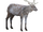 Sika Deer (Hispa Designs)