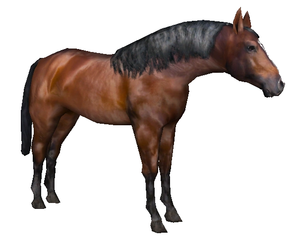 Holsteiner Horse (Platypus) | ZT2 Download Library Wiki | Fandom