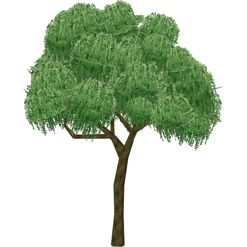 Pepper Tree (The CRG Problem) ZT2 Download Library Wiki Fandom