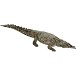 Machaeroprosopus (Whalebite)