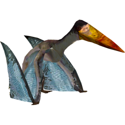 Pterosaurs PNG Images Transparent Free Download