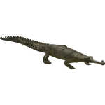 Gharial (HENDRIX & Zerosvalmont)