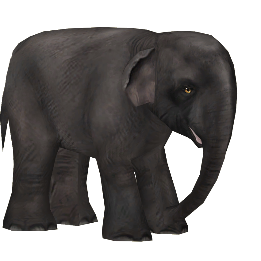 Indian Elephant (Tamara Henson) | ZT2 Download Library Wiki