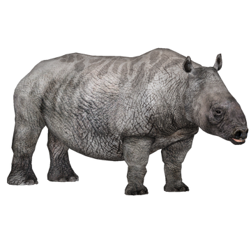 Toxodon platensis, ZT2 Download Library Wiki