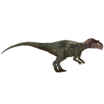Allosaurus (Tyranachu)