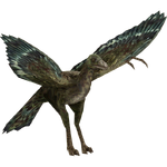 Archaeopteryx (Bunyupy)