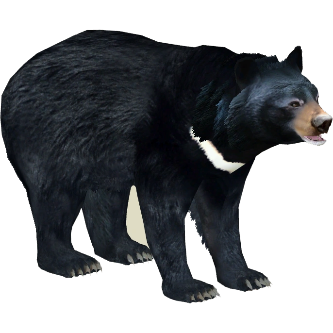 latest?cb=20151017154052