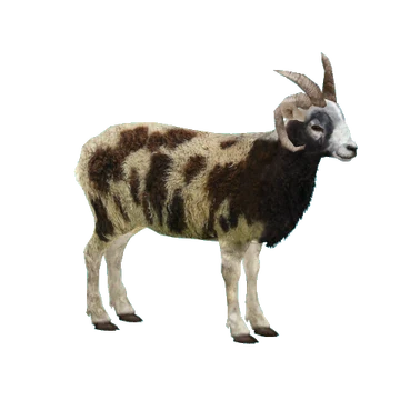 特撮 Sheep Randal Ford | Scottish Blackface Sheep (2024) | Available for Sale