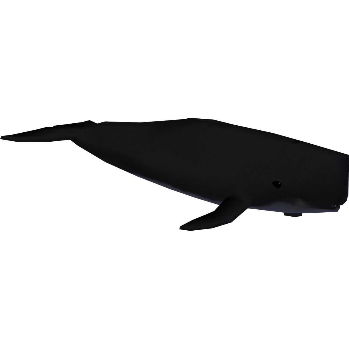 Sperm Whale (The Restorers) | ZT2 Download Library Wiki | Fandom