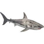 White Shark (Dedennedillo)/Version 1 (707 KB) White Shark (Dedennedillo)/Version 1