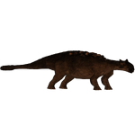 Ankylosaurus (Andrew12 & Tyranachu)