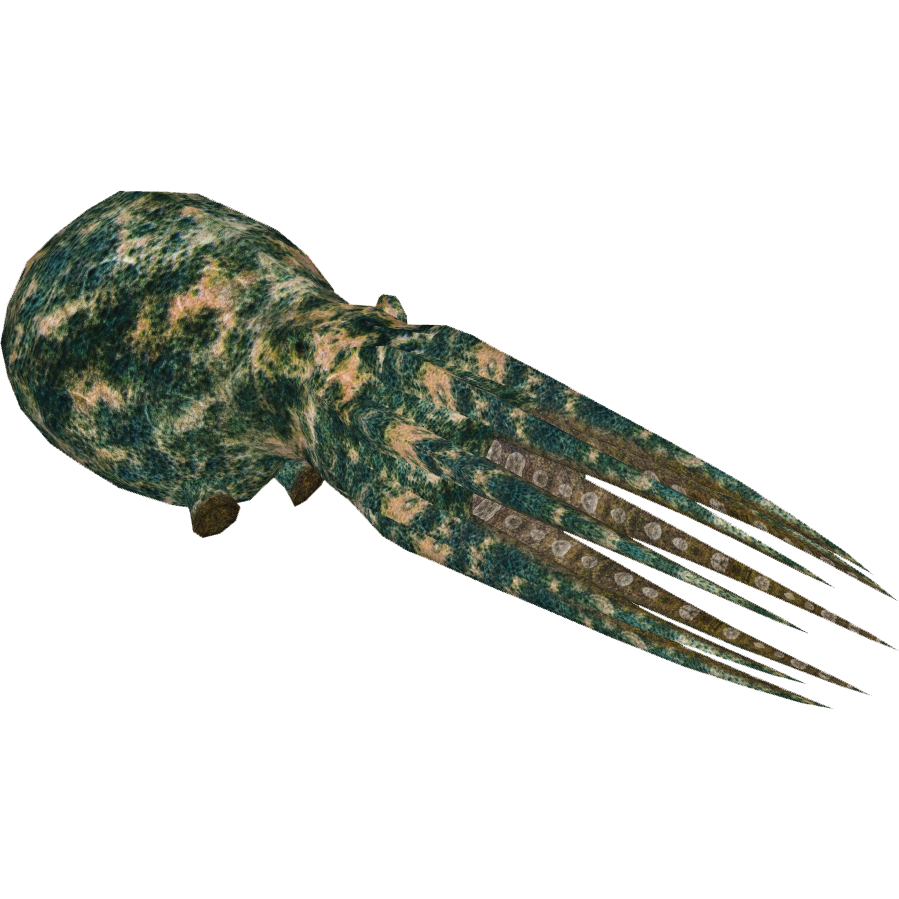 Caribbean Reef Octopus (Luca9108 & Maks) | ZT2 Download