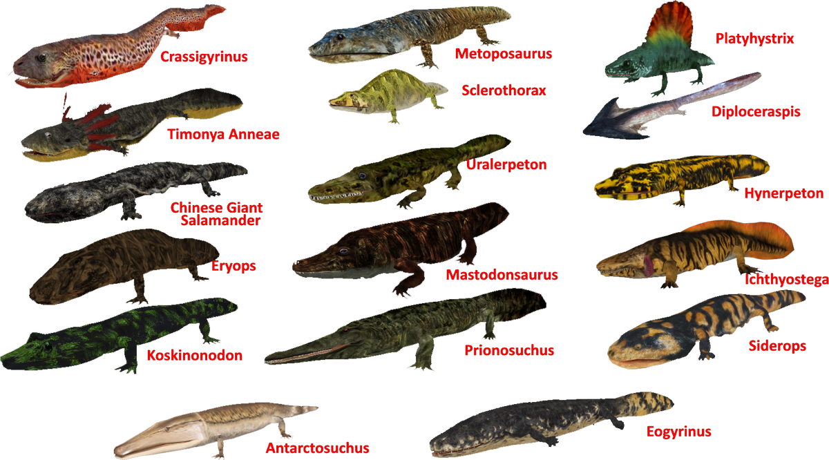 Huge Amphibians (Demon Hunter) | ZT2 Download Library Wiki | Fandom Huge Amphibians (Demon Hunter) | ZT2 Download Library Wiki | Fandom