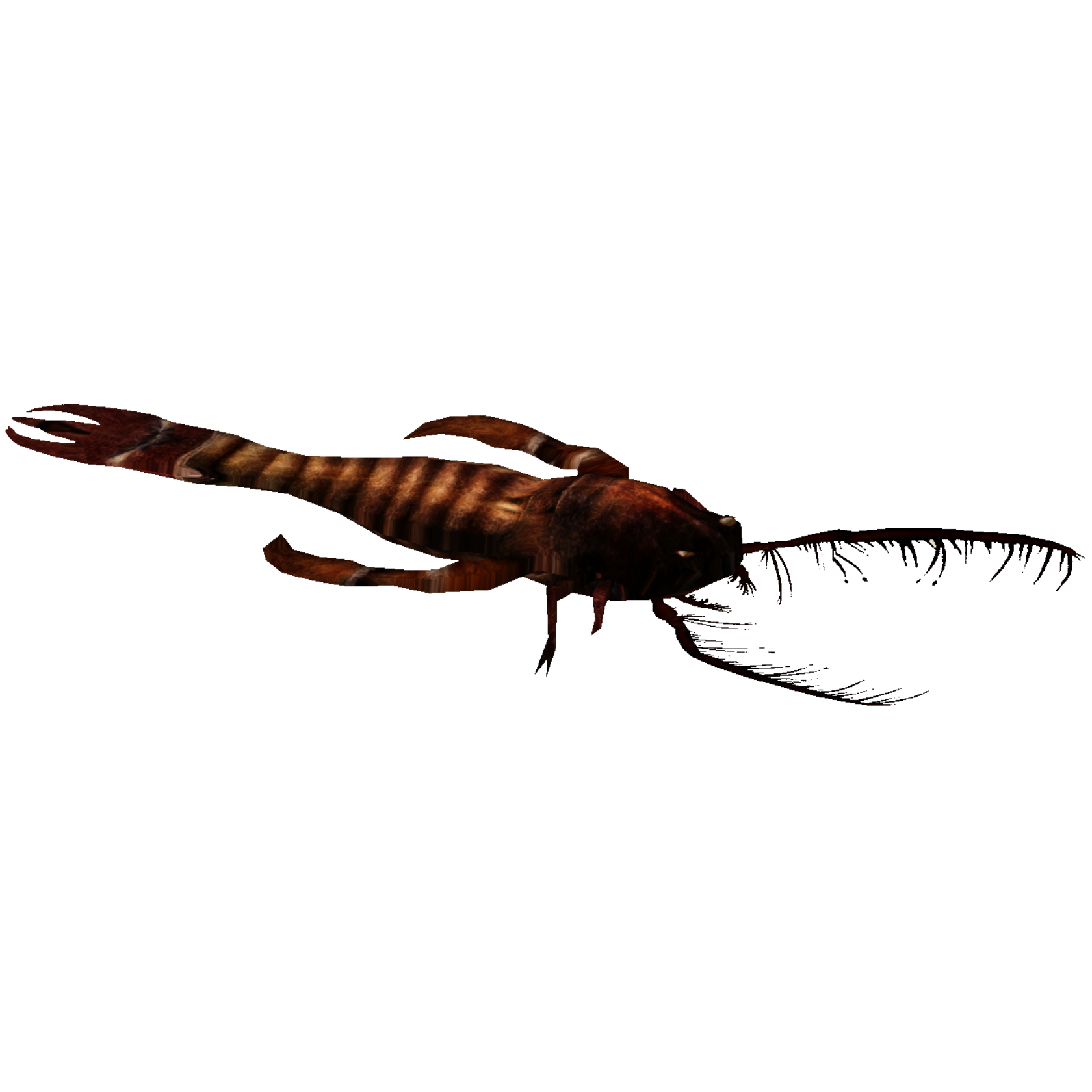 Megalograptus Tyranachu Zt2 Download Library Wiki Fandom