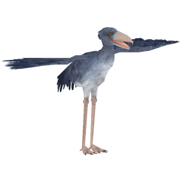 特撮 Shoebill 360?cb=20150711175442
