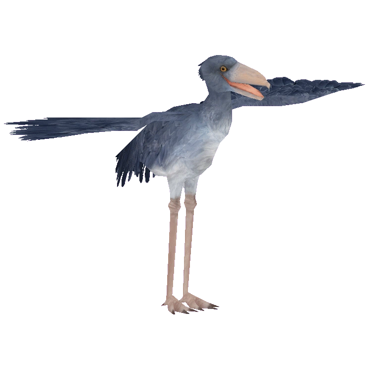 その他 shoebill Ania AS-22 Shoebill