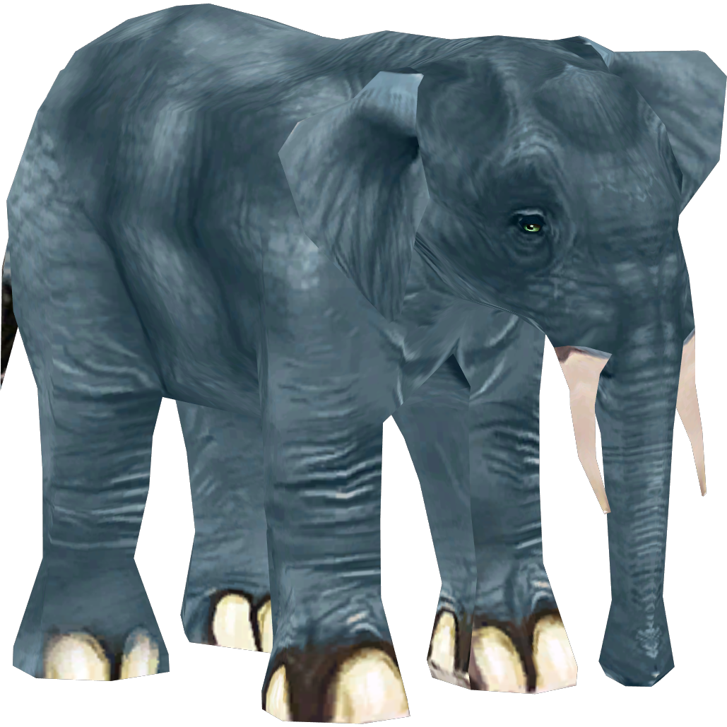 African Forest Elephant (Colonel Swampert & Mjmannella) | ZT2 Download