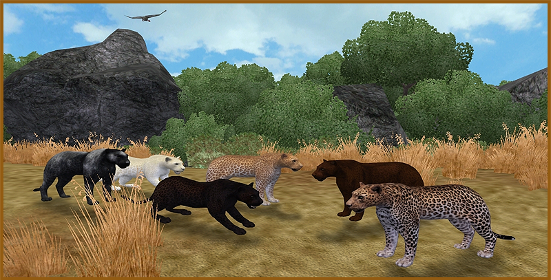 zoo tycoon 2 radical remake