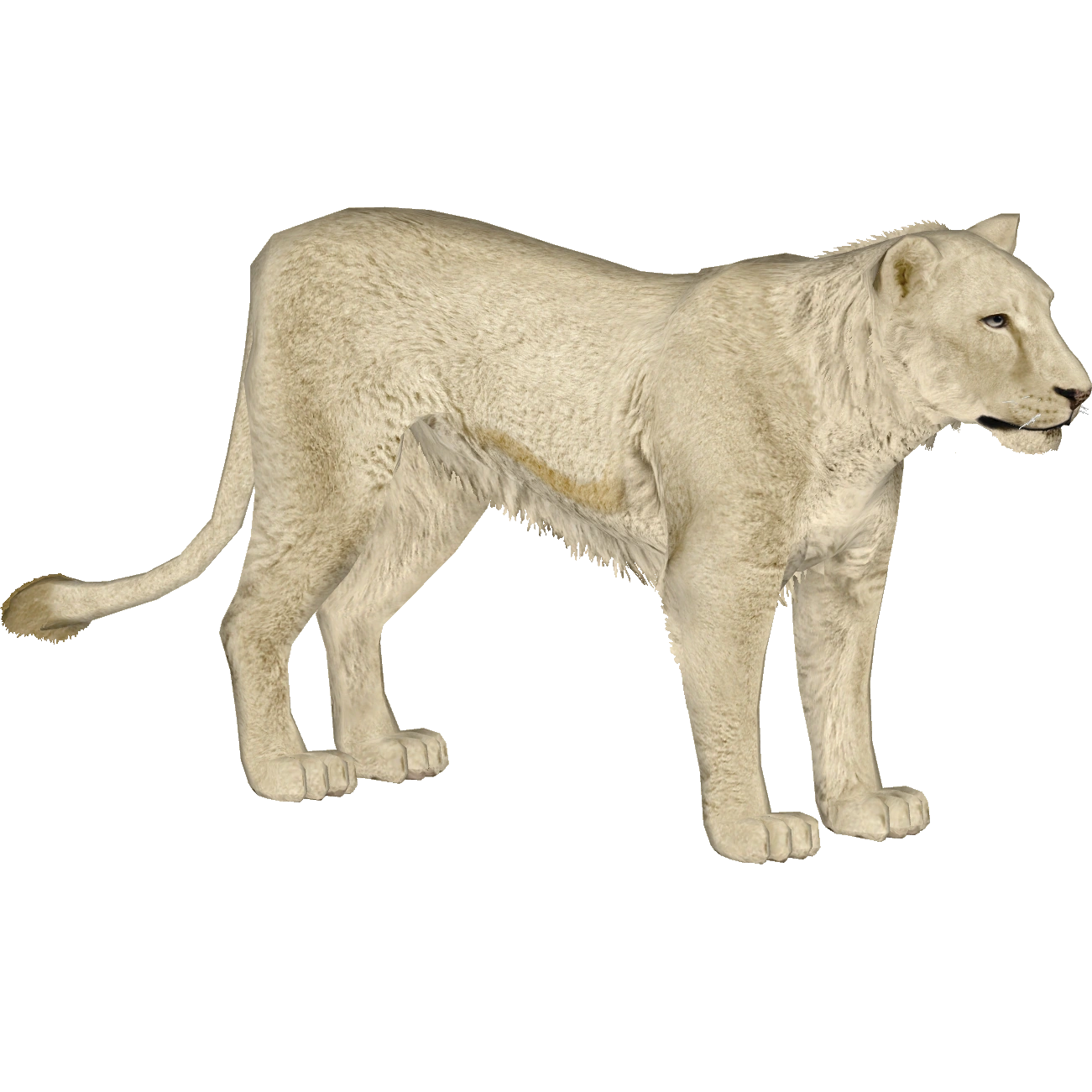 Cave Lion (Blue Fang) | ZT2 Download Library Wiki | Fandom