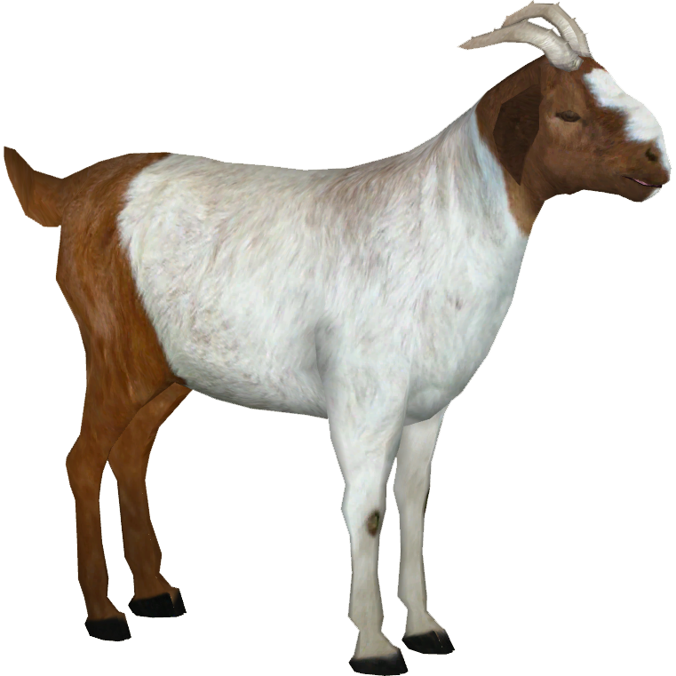 goat png images